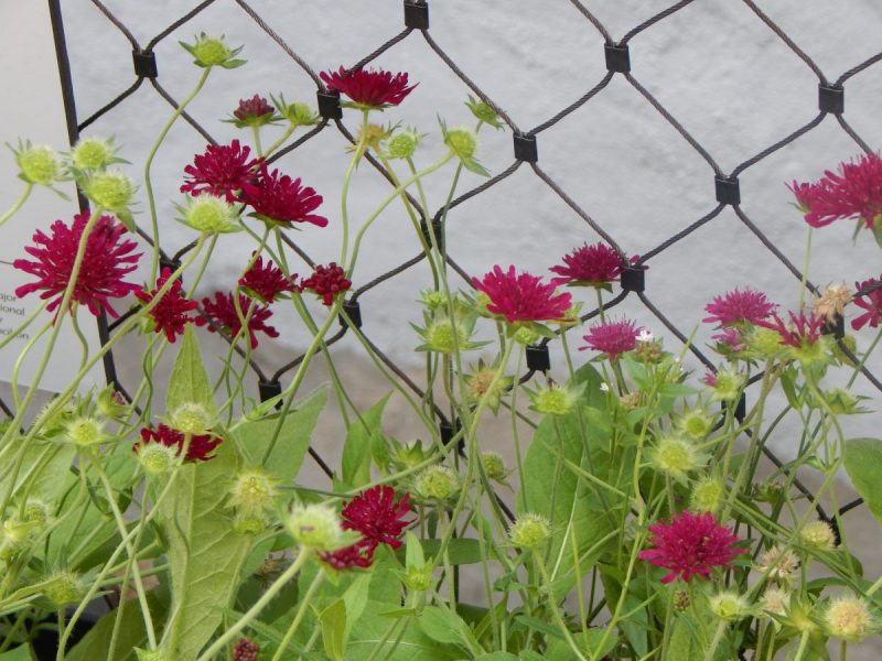 Act in an instant…