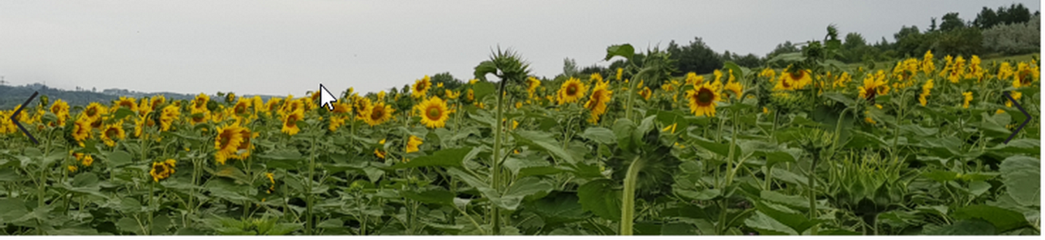 2020 – Reise zu Dir SELBST – Deine Zeit ist reif!